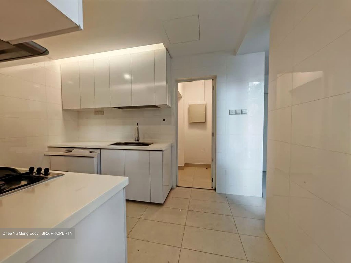 Nassim Regency (D10), Condominium #554607601